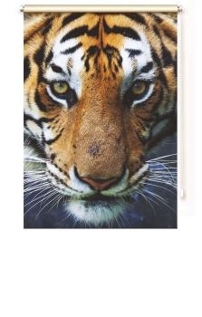 Extartiqe Duschrollo - Tiger Duschvorhang Made in Germany modern